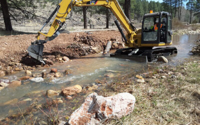 Canyon Creek Restoration