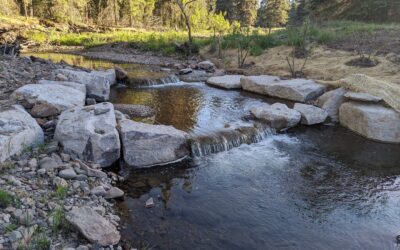 Willow Creek, Little Turkey Creek and Ben Lilly Restoration and Habitat Improvement Projects – NMDGF